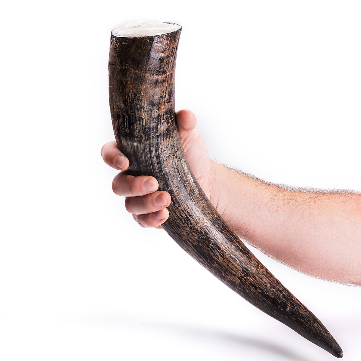 Viking Drinking Horn | &quot;The Karl&quot;